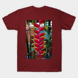 Costa Rica. Exotic Flower -  Heliconia pendula. T-Shirt